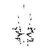 Photoionization